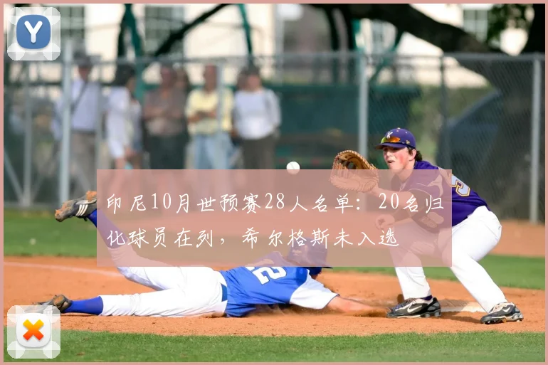 印尼10月世预赛28人名单：20名归化球员在列，希尔格斯未入选