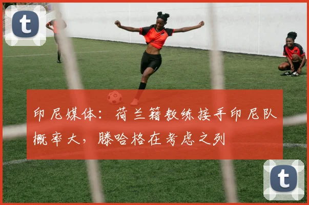 印尼媒体：荷兰籍教练接手印尼队概率大，滕哈格在考虑之列