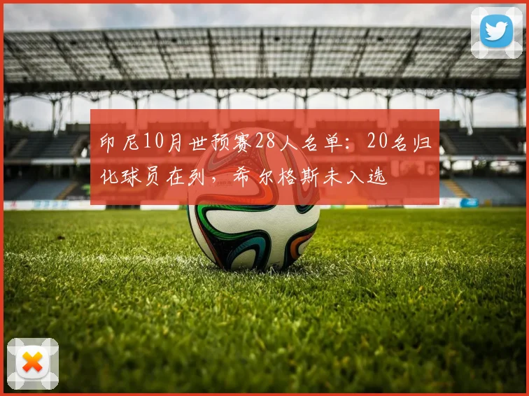 印尼10月世预赛28人名单：20名归化球员在列，希尔格斯未入选