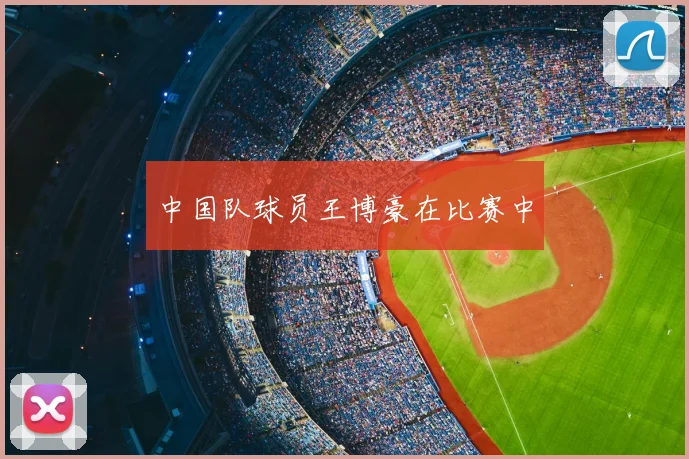 中国队球员王博豪在比赛中